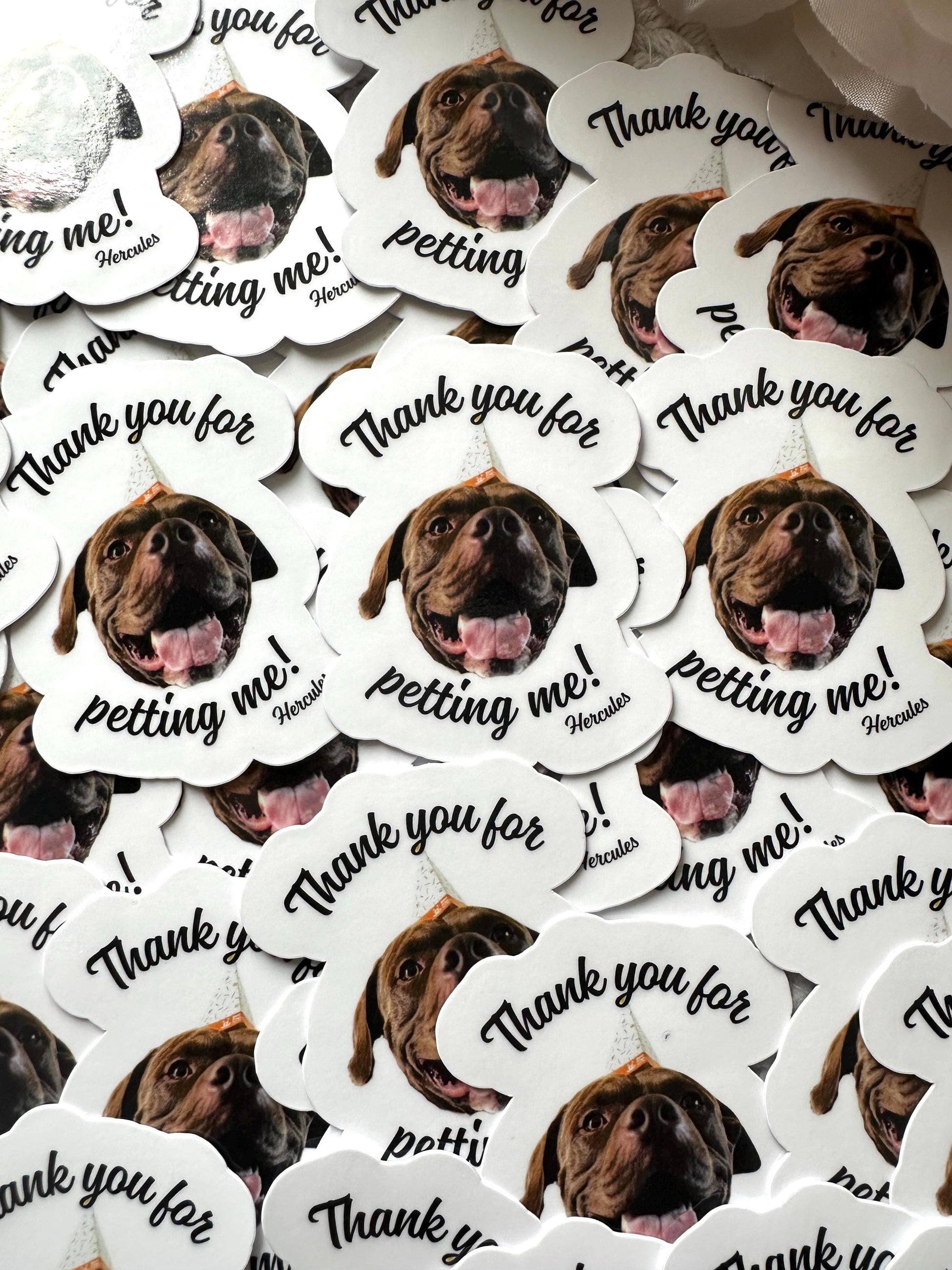 Custom Face Sticker| Die Cut Custom Sticker | Water Bottle Sticker | Personalized Stickers | Human Face | Party Favors| Dog Custom Stickers