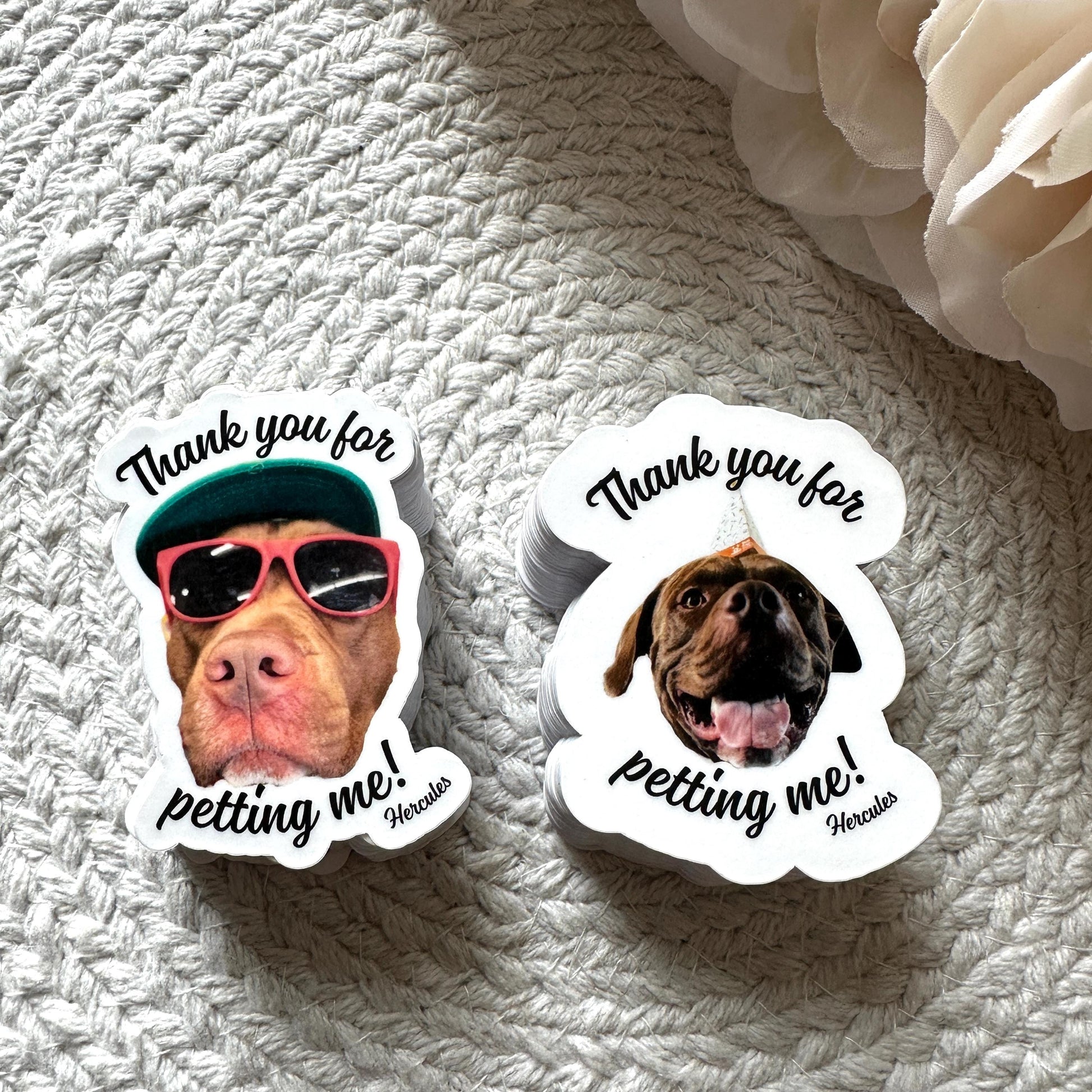 Custom Face Sticker| Die Cut Custom Sticker | Water Bottle Sticker | Personalized Stickers | Human Face | Party Favors| Dog Custom Stickers
May include: Two white round stickers with a brown dog on each. The dog on the left is wearing a green and red baseball cap and sunglasses. The dog on the right is wearing a party hat. Both stickers have the text &#39;Thank you for petting me! Hercules&#39;.
