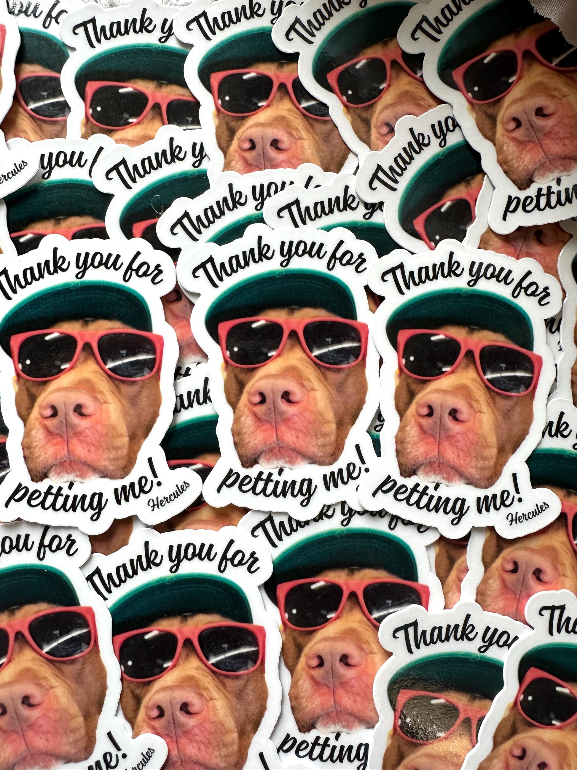 Custom Face Sticker: Die Cut Glossy Vinyl, Waterproof Party Favors