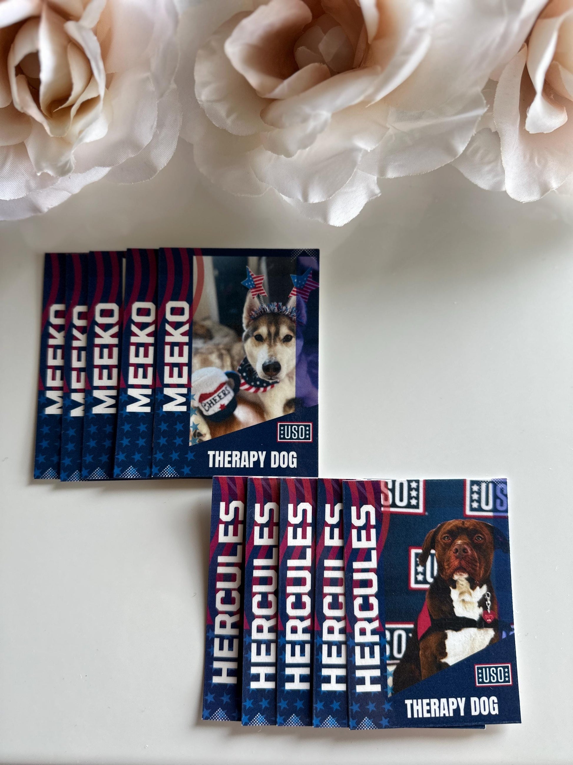 Custom Trading Cards| Therapy Dog Trading Cards| Info Cards| Trading Cards| Collectible| Memorabilia| Gift for Dog Mom| Animal Cards