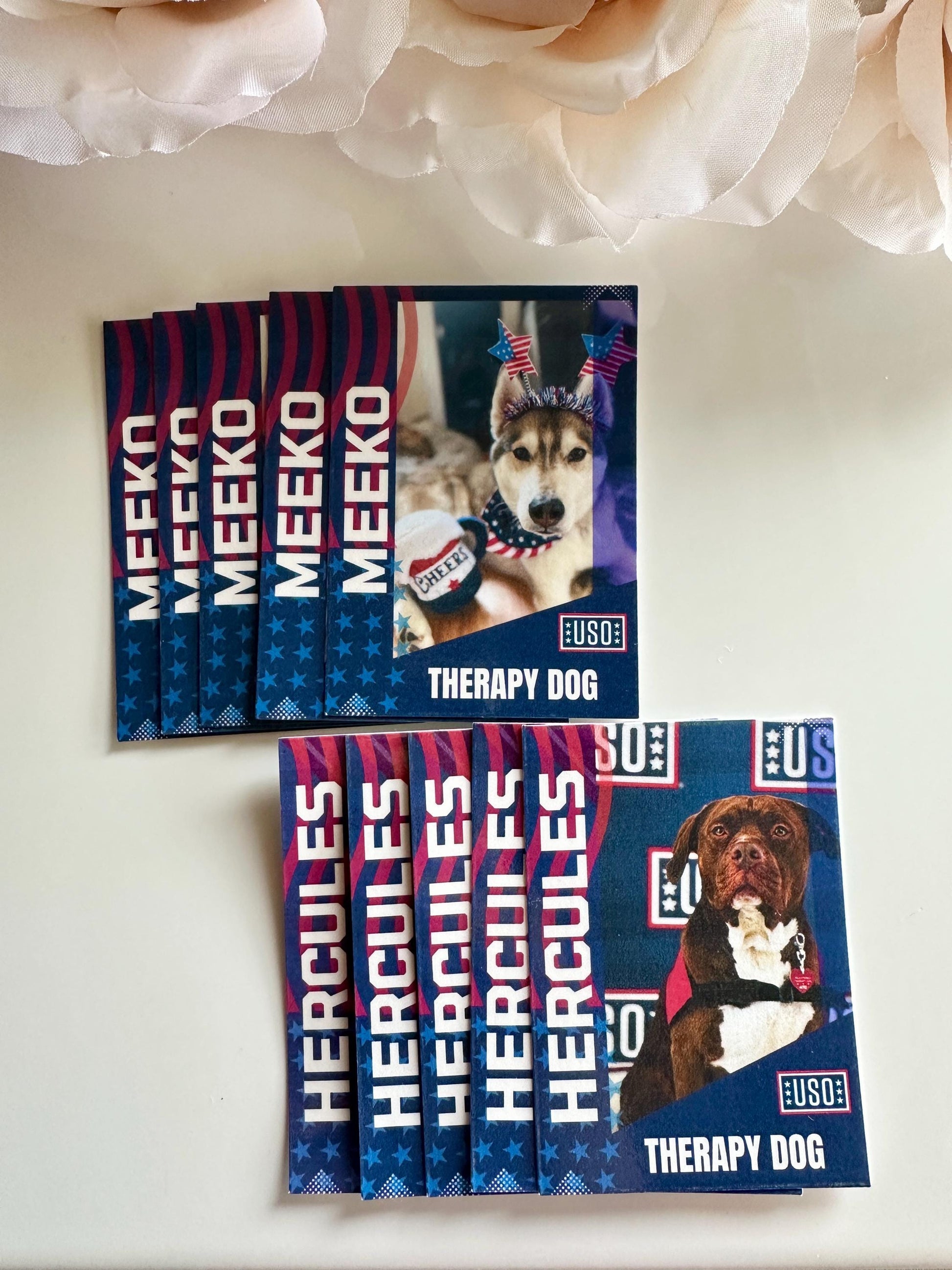 Custom Trading Cards| Therapy Dog Trading Cards| Info Cards| Trading Cards| Collectible| Memorabilia| Gift for Dog Mom| Animal Cards