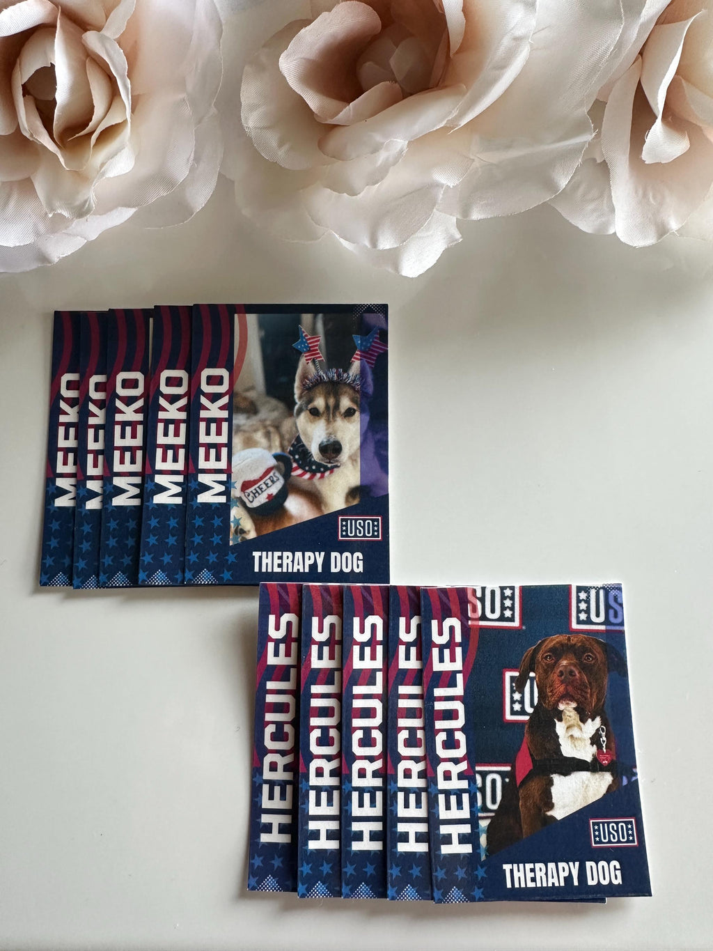 Custom Trading Cards| Therapy Dog Trading Cards| Info Cards| Trading Cards| Collectible| Memorabilia| Gift for Dog Mom| Animal Cards