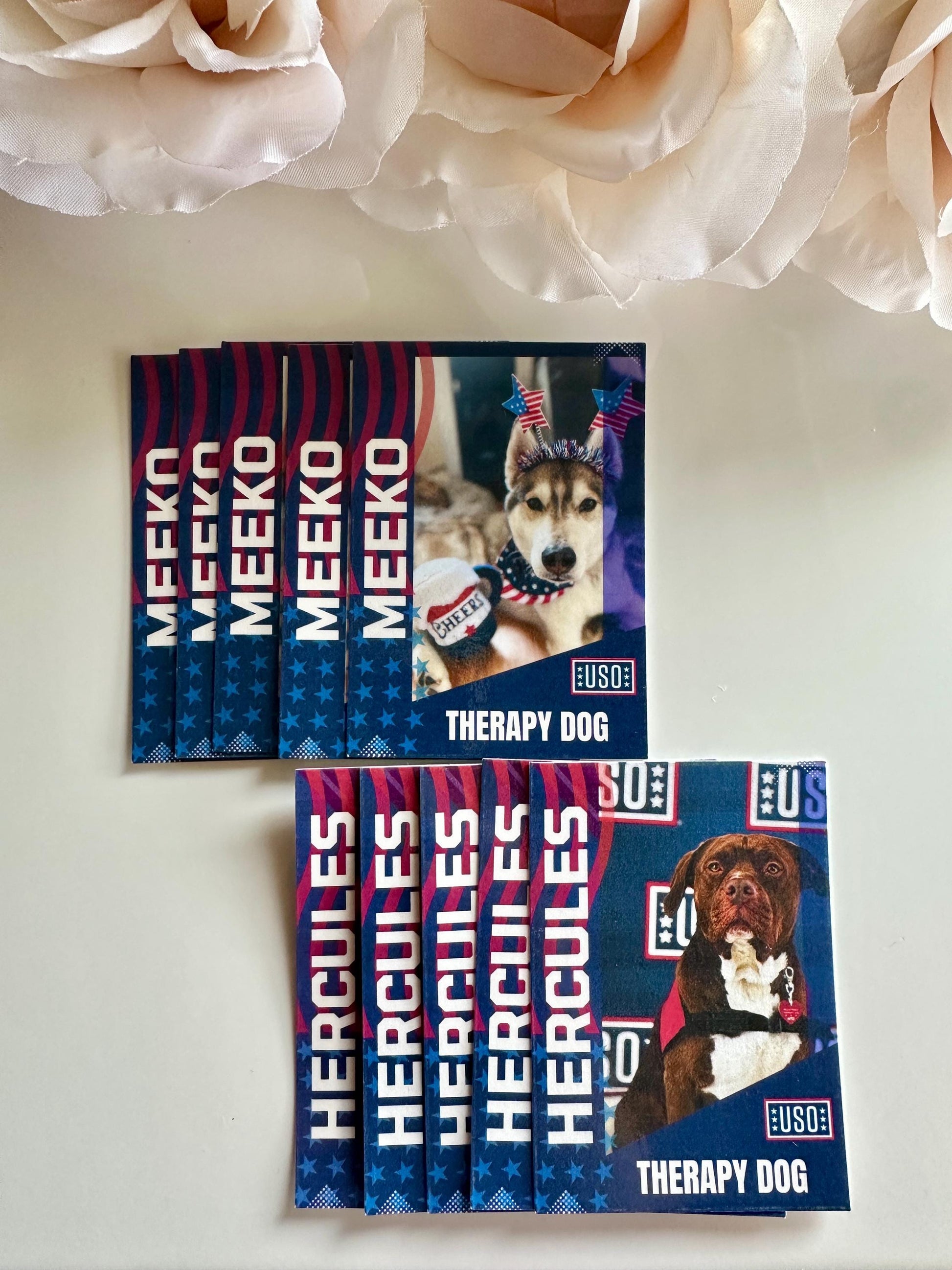Custom Trading Cards| Therapy Dog Trading Cards| Info Cards| Trading Cards| Collectible| Memorabilia| Gift for Dog Mom| Animal Cards