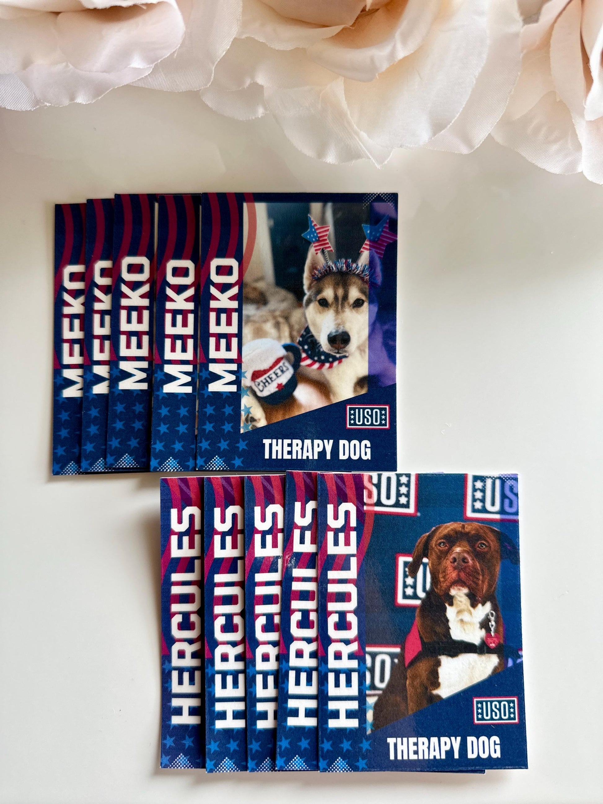 Custom Trading Cards| Therapy Dog Trading Cards| Info Cards| Trading Cards| Collectible| Memorabilia| Gift for Dog Mom| Animal Cards