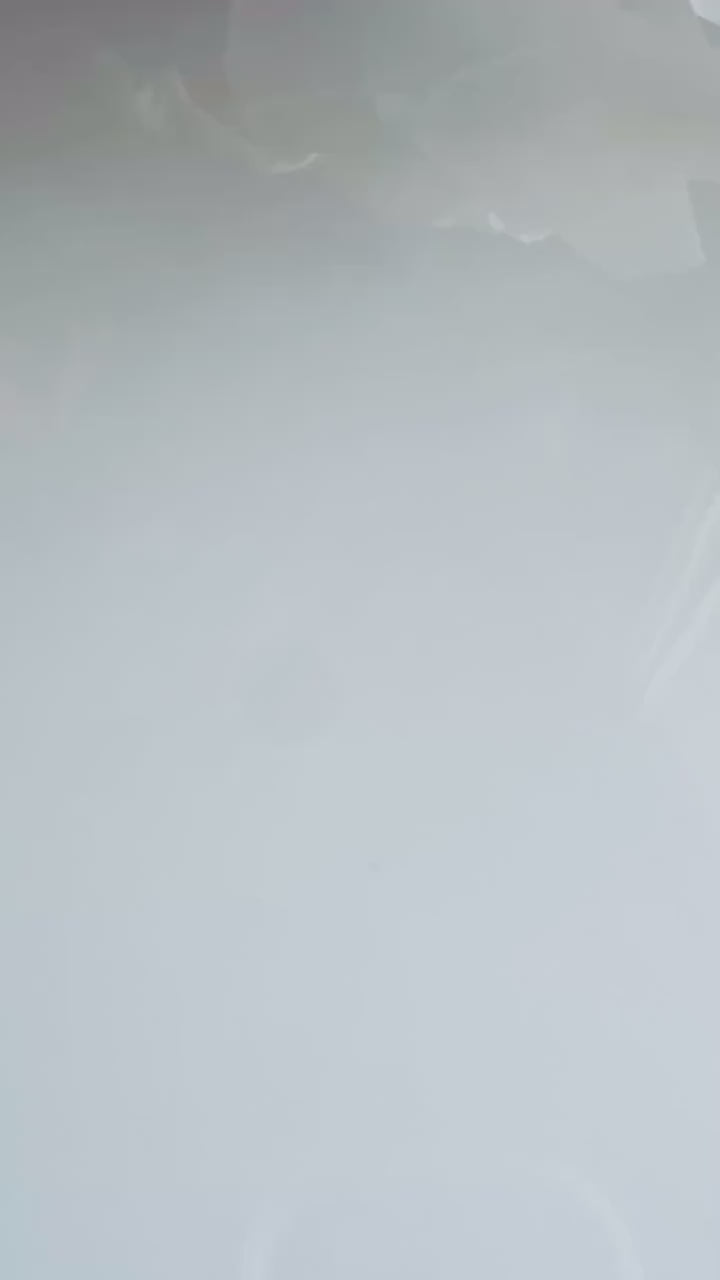 Acrylic Sand Dollar Dangle Earrings: Coastal Beach Wedding Jewelry